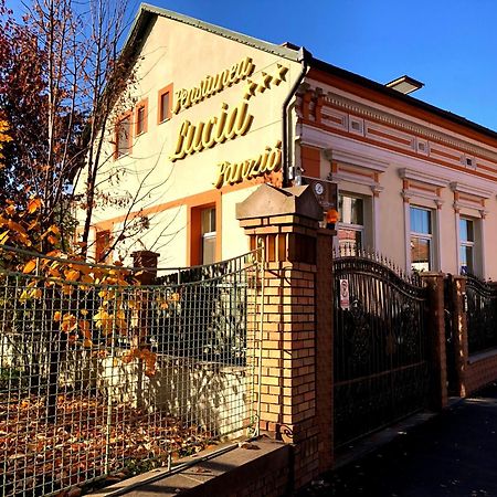 Pensiunea Lucia Sfântu-Gheorghe Exteriér fotografie