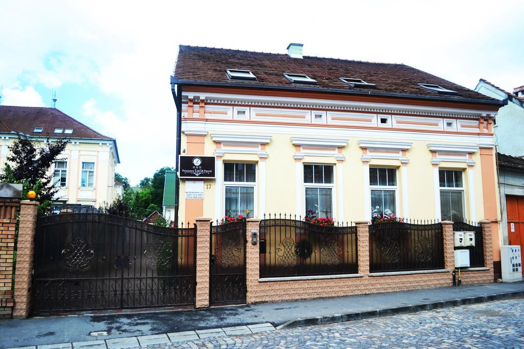 Pensiunea Lucia Sfântu-Gheorghe Exteriér fotografie