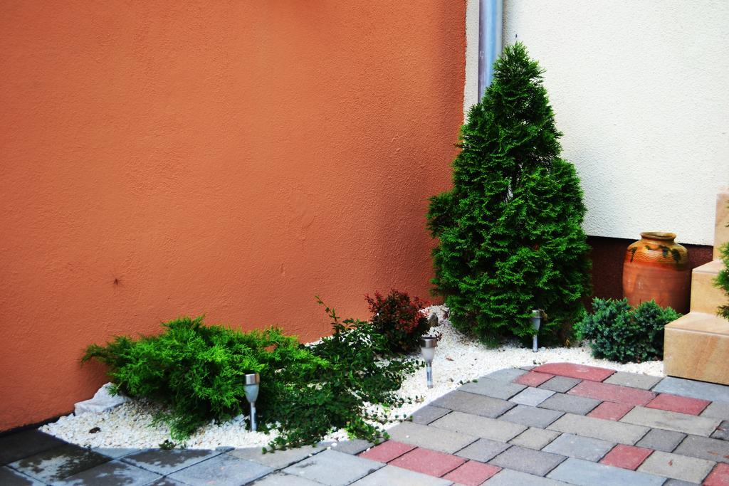 Pensiunea Lucia Sfântu-Gheorghe Exteriér fotografie